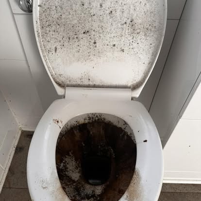 Toilet before clean, covered in built-up mould and limescale