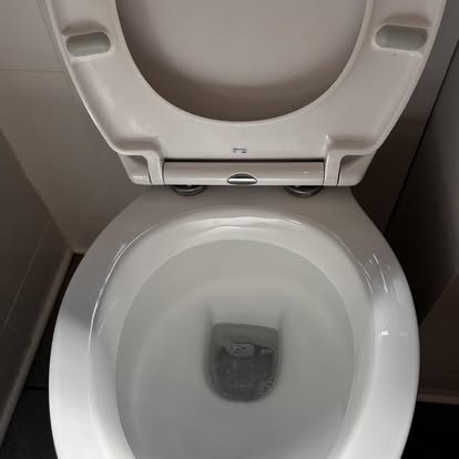 Same toilet after deep clean, sparkling white with no staining